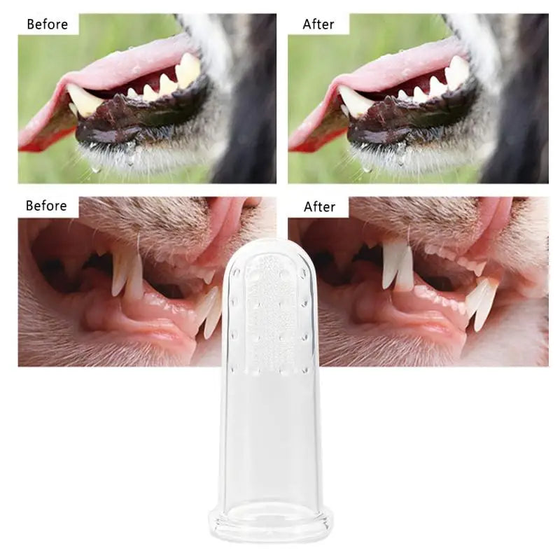 Escova de dentes para pets
